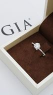 Imagen de Anillo Bambú Diamantes 0,60ct G-VS GIA Oro Blanco 18K