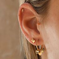 Imagen de Aros Multi Medals Oro 18K