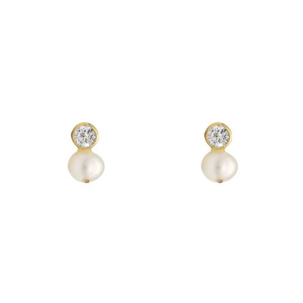 Imagen de Pendientes T&Y Oro 18K