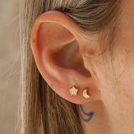 Imagen de Pendientes Star Oro 18K