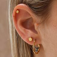 Imagen de Pendientes Round Oro 18K