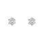 Imagen de Pendientes Elia Oro Blanco 18K
