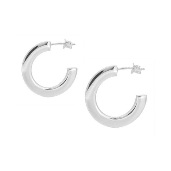 Imagen de Aros Plane 24mm Plata