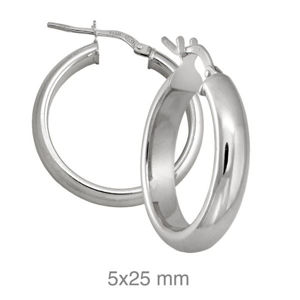 Imagen de Aros Tebas 25mm Plata