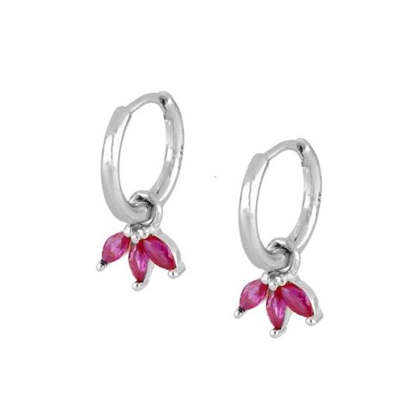 Imagen de Aros Casmir Fucsia Plata