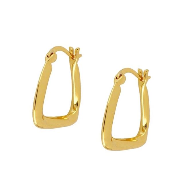 Imagen de Aros Tina 17mm Plata Dorada