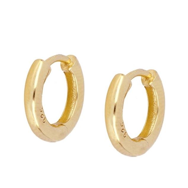 Imagen de Aros Laik 14mm Plata Dorada