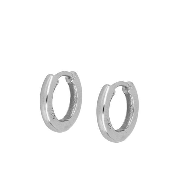 Imagen de Aros Laik 10mm Plata