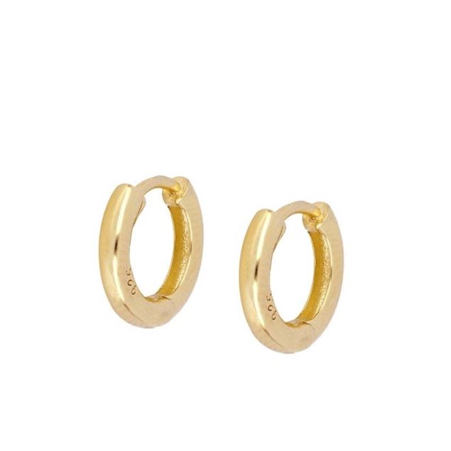 Imagen de Aros Laik 10mm Plata Dorada