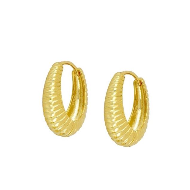 Imagen de Aros Jana Plata Dorada