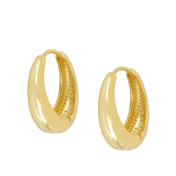 Imagen de Aros Jane Plata Dorada