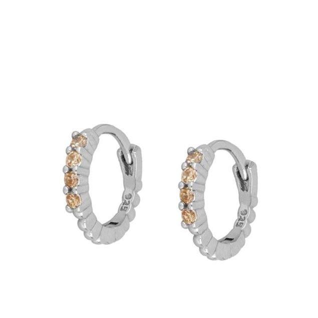 Imagen de Aros Arka Champagne Plata