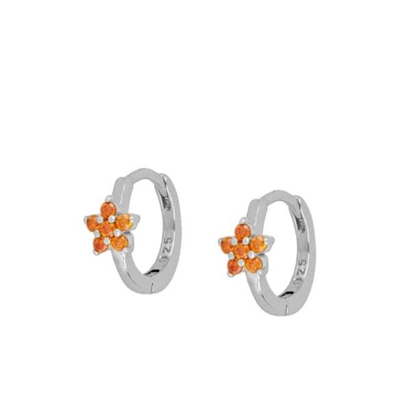 Imagen de Aros Cleo Naranja Plata