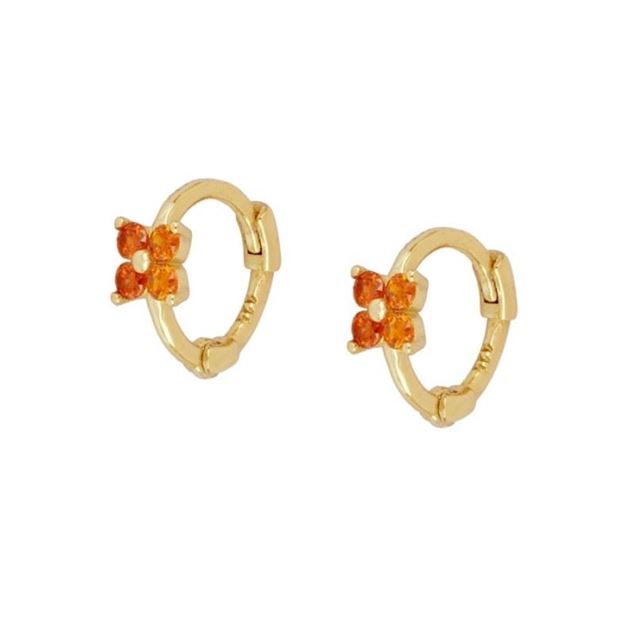 Imagen de Aros Link Naranja Plata Dorada