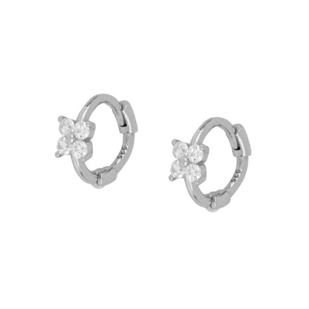 Imagen de Aros Link Plata