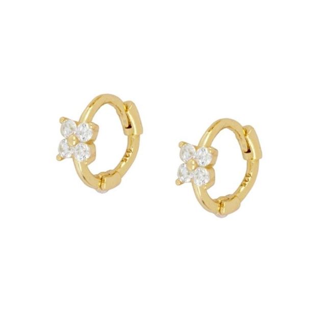 Imagen de Aros Link Plata Dorada