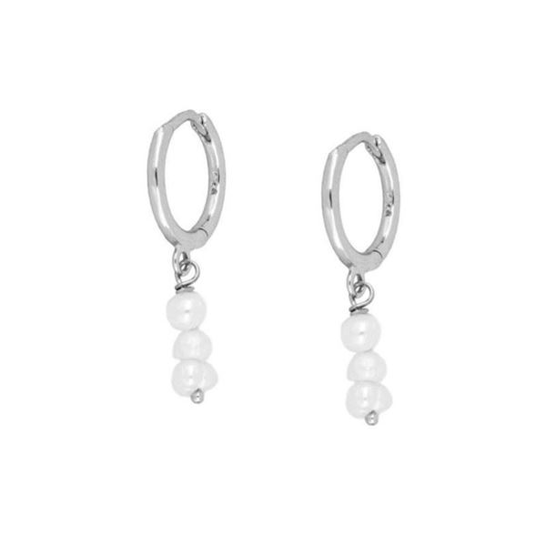 Imagen de Aros Enea Plata