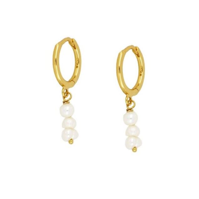 Imagen de Aros Enea Plata Dorada