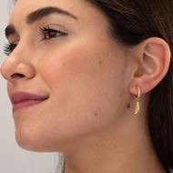 Imagen de Aros Multi Charms Pluma Plata Dorada