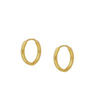 Imagen de Aros Lue 15mm Plata Dorada