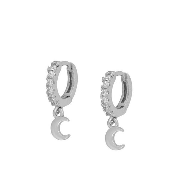 Imagen de Aros Lunet Plata