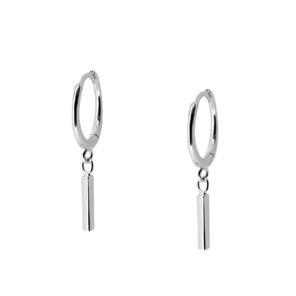 Imagen de Aros Lingot Plata