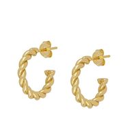 Imagen de Pendientes Ayla Plata Dorada