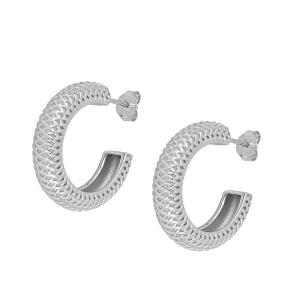 Imagen de Pendientes Brina Plata