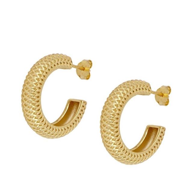 Imagen de Pendientes Brina Plata Dorada