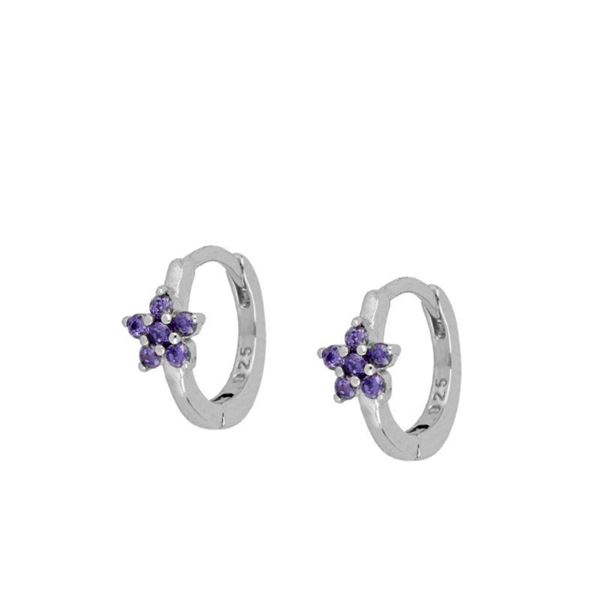 Imagen de Aros Cleo Lila Plata