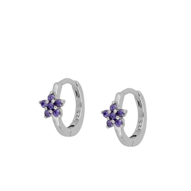Imagen de Aros Cleo Lila Plata