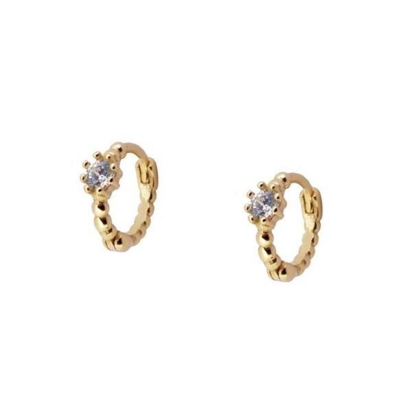 Imagen de Aros Vani Circonita Plata Dorada
