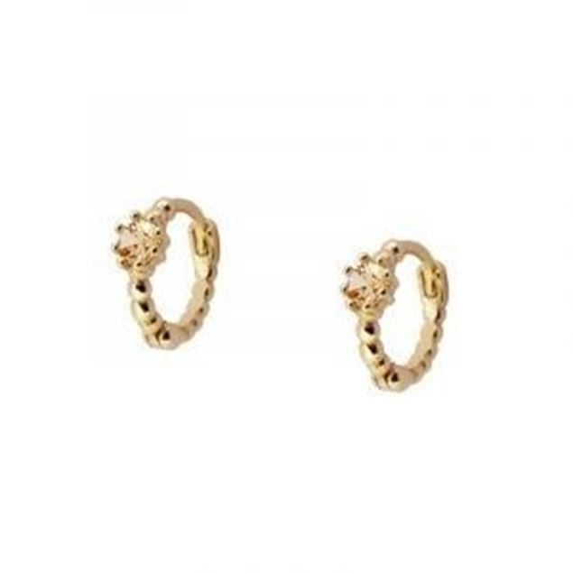 Imagen de Aros Vani Champagne Plata Dorada