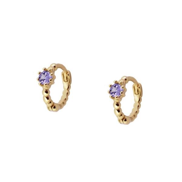 Imagen de Aros Vani Lila Plata Dorada