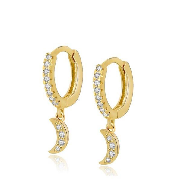 Imagen de Aros Ariel Plata Dorada