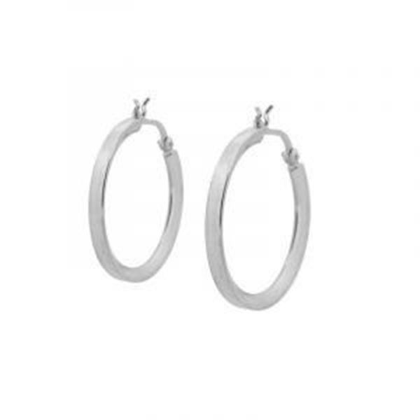 Imagen de Aros Melania Plata