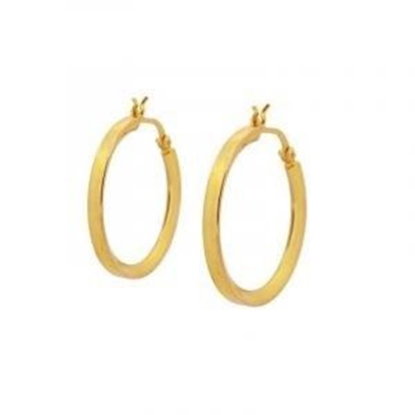 Imagen de Aros Melania Plata Dorada