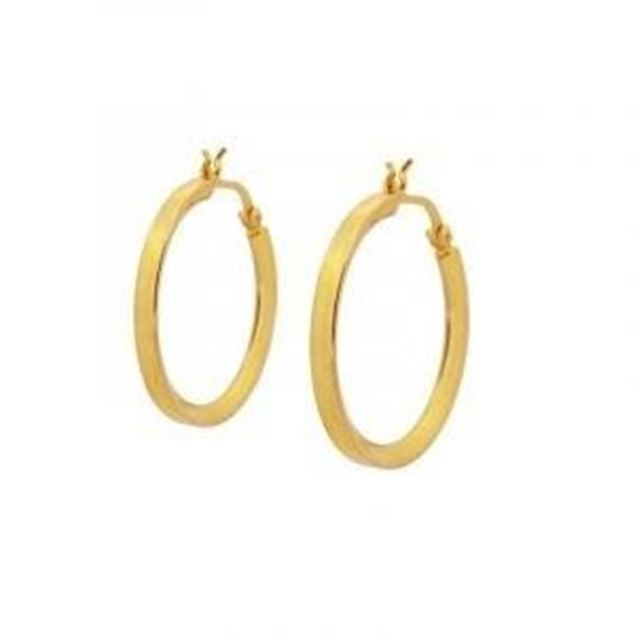 Imagen de Aros Melania Plata Dorada