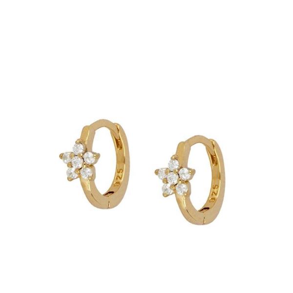 Imagen de Aros Cleo Plata Dorada