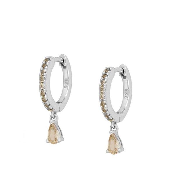 Imagen de Aros Berlín Champagne Plata