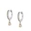Imagen de Aros Berlín Champagne Plata