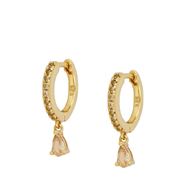 Imagen de Aros Berlín Champagne Plata Dorada