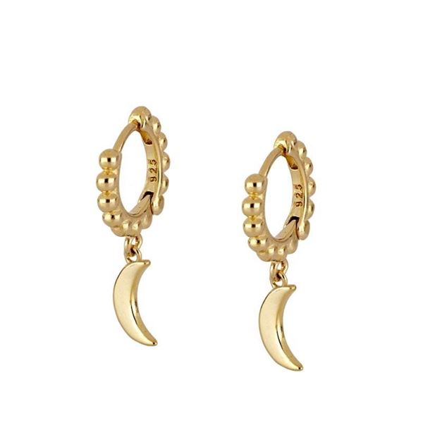 Imagen de Aros Dione Plata Dorada