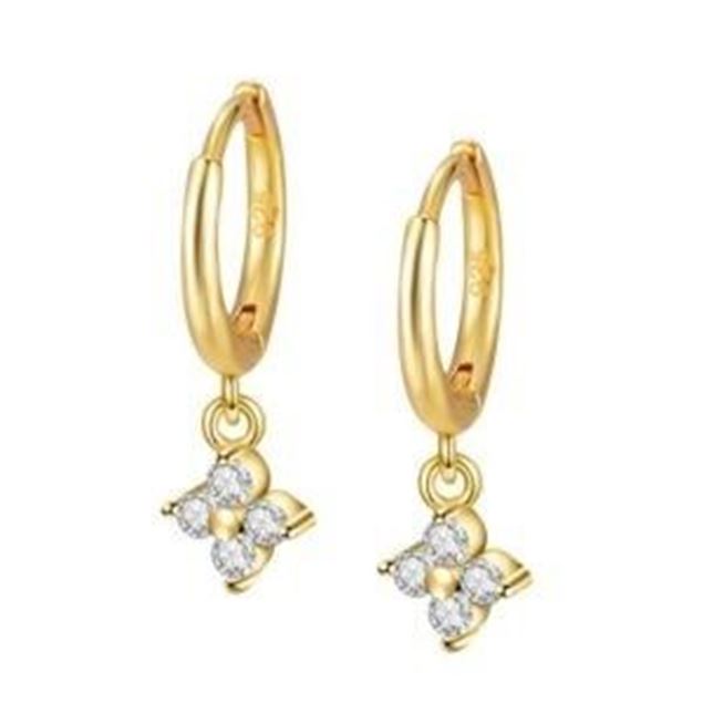 Imagen de Aros Glam Plata Dorada