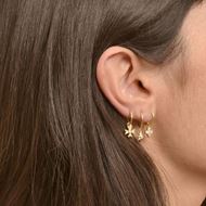 Imagen de Aros Malasia Plata Dorada