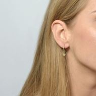 Imagen de Aros Estrella Plata Dorada