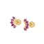 Imagen de Piercing Lexi Fucsia Plata Dorada