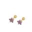 Imagen de Piercing Estrella Polar Lila Plata Dorada