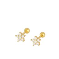 Imagen de Piercing Estrella Polar Plata Dorada