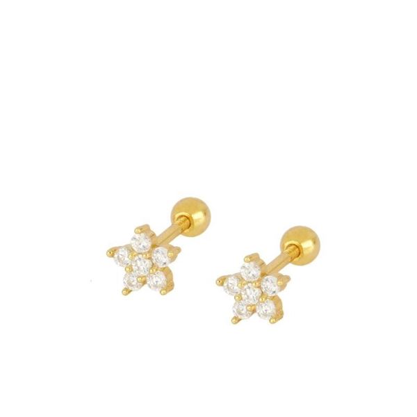 Imagen de Piercing Estrella Polar Plata Dorada